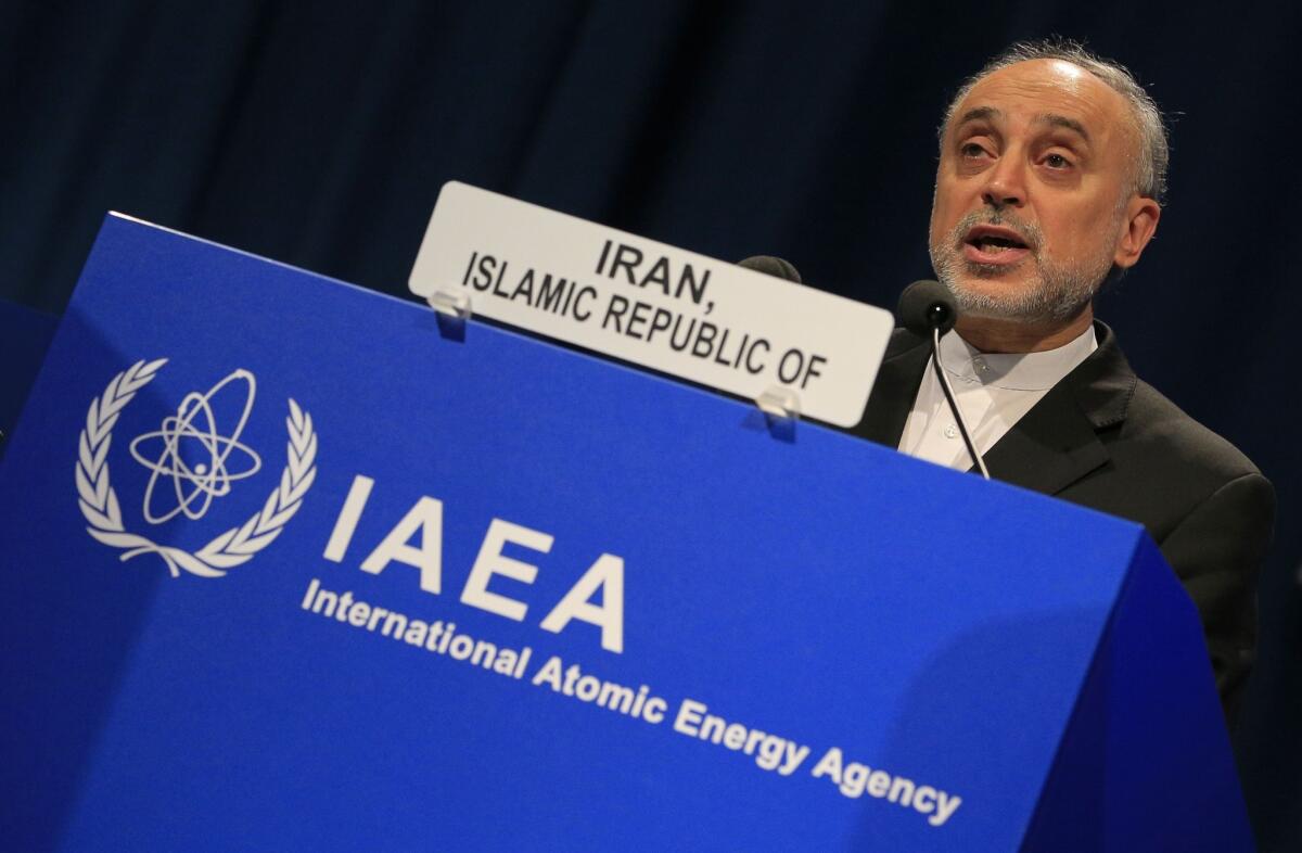 Iranian atomic energy agency chief Ali Akbar Salehi told the U.N. nuclear agency in Vienna on Monday that Iran will resolve its dispute with the United States and other Western countries over the nature of its nuclear facilities "if the other side is willing."