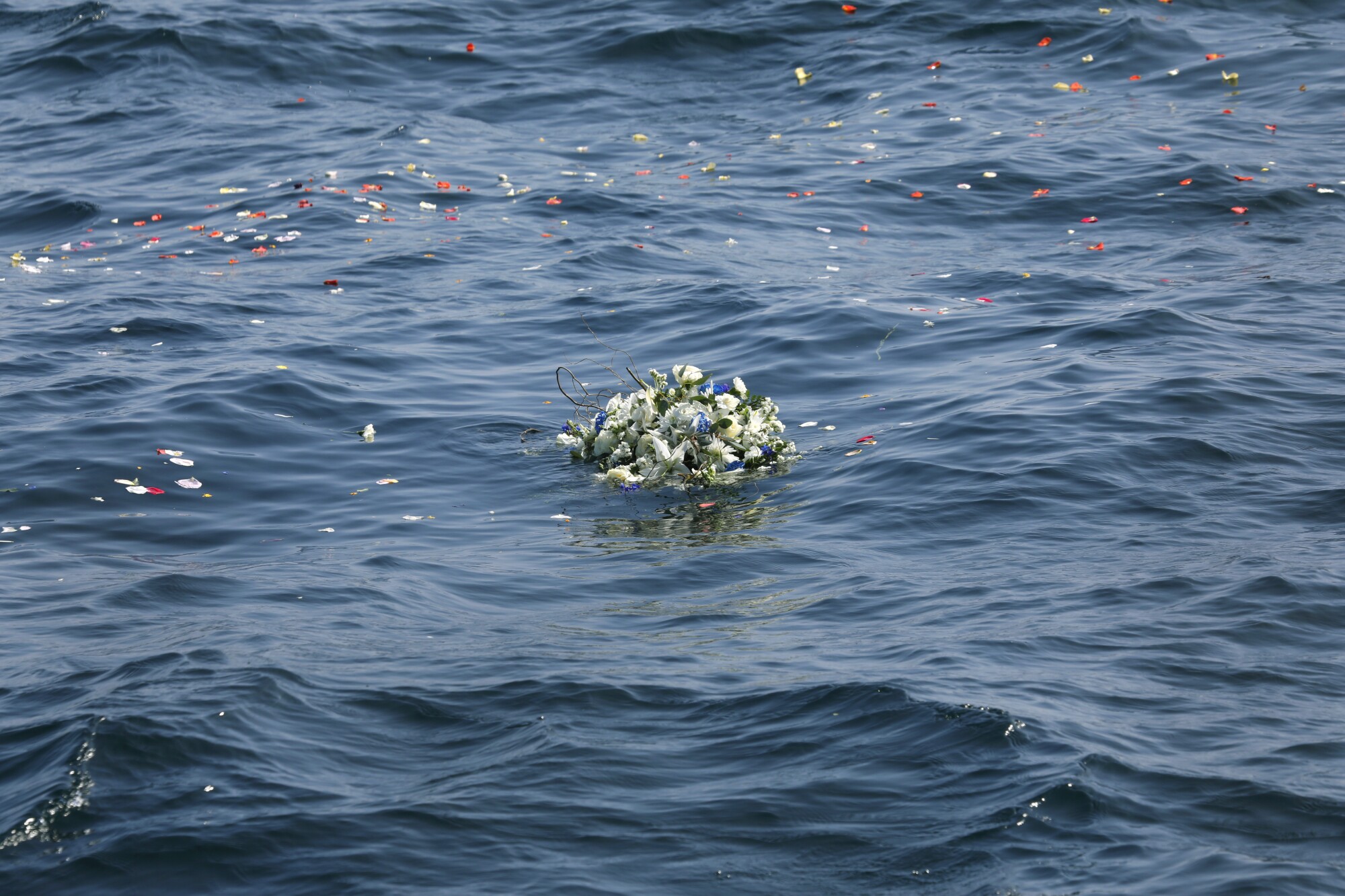 Flowers and rose petals float at the site where John Berol was buried at sea on April 1.