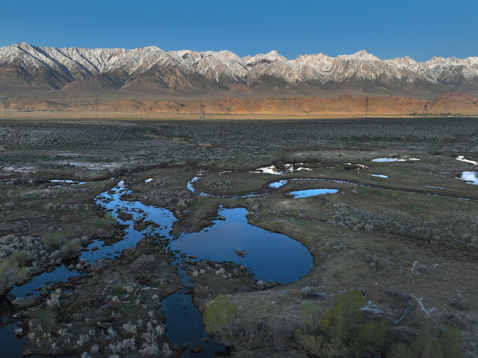 Water soaks the ground at Lower Owens River. 