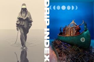 two fashion and art photos side-by-side with the words “Drip Index” running vertical between them