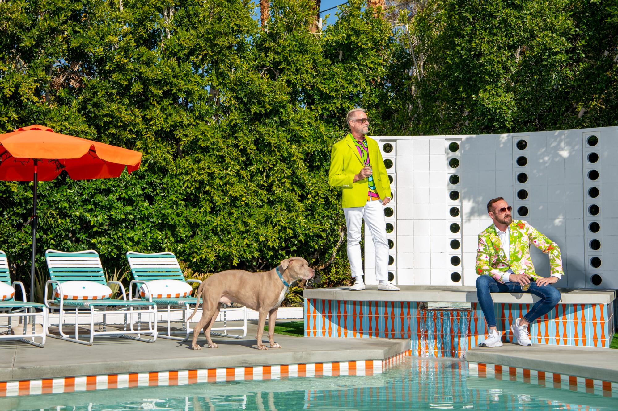 A dog, a standing man and a seated man next to a backyard pool
