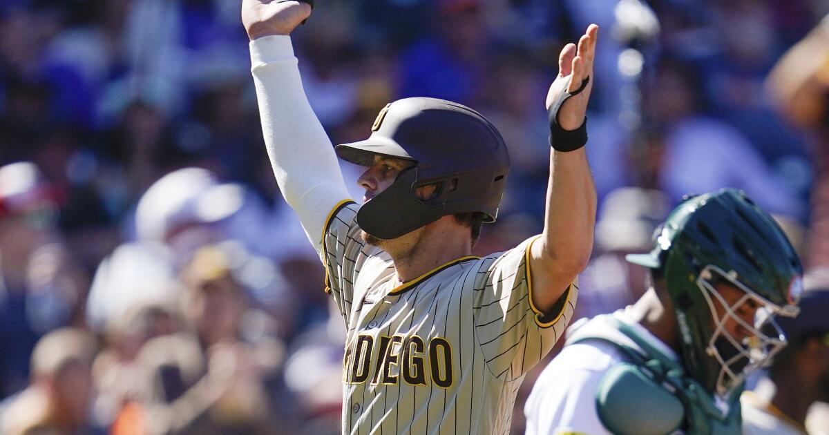 San Diego Padres fans celebrate clinching a Wildcard playoff spot: I'm  gonna cry again it's really happening, It's a great day to be a Padres  fan