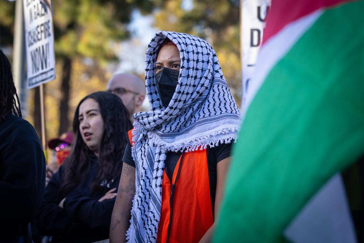 a Pro-palestinan rally