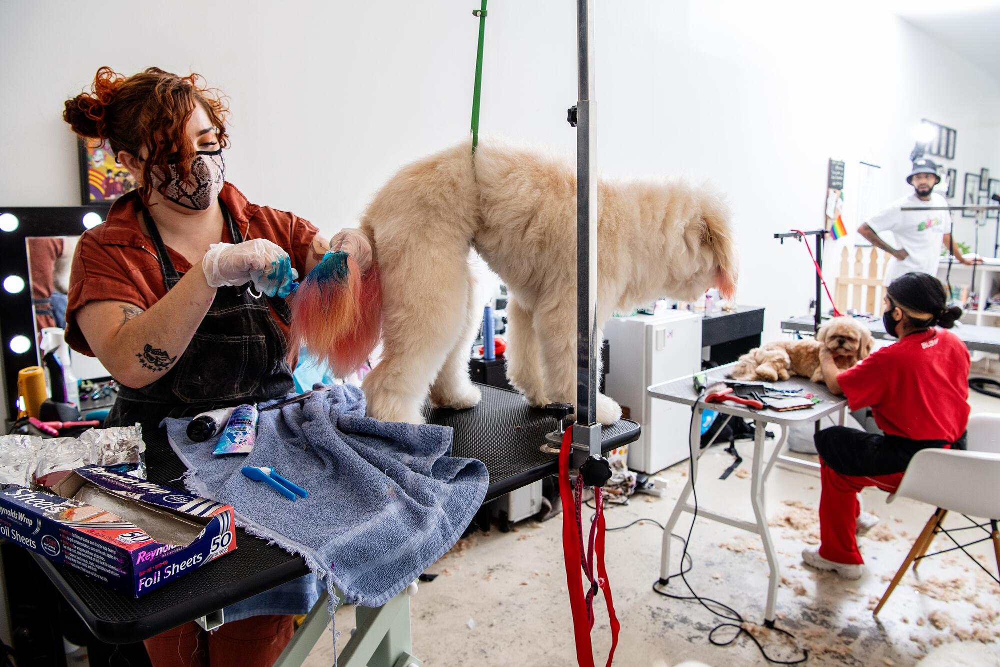 A woman brushes a dog's tail