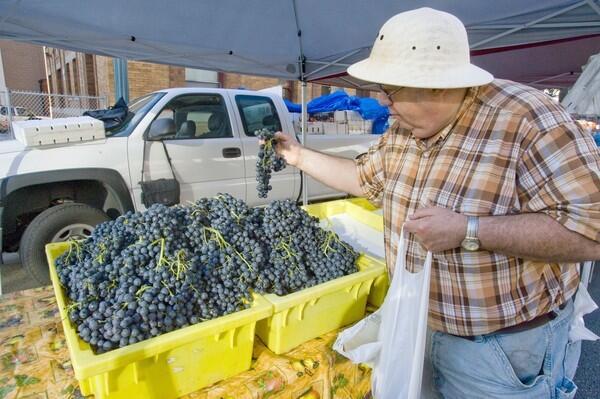 Black Emerald grapes