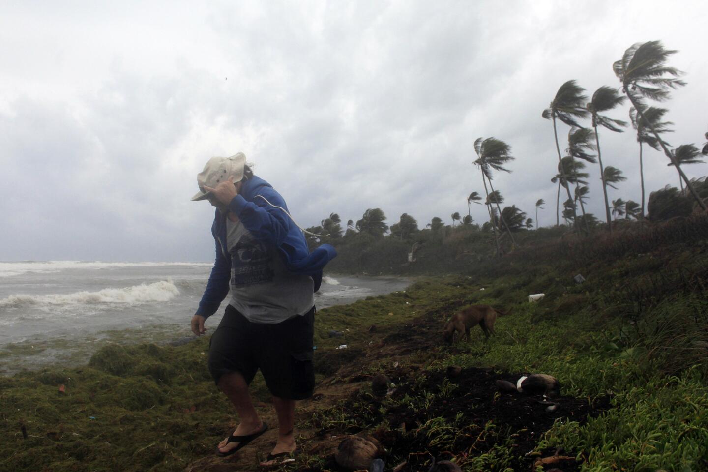 A man walks on the shore against strong winds with a backdrop of a rough sea as Tropical Storm Erika moves away from the area in Guayama, Puerto Rico. The storm was expected to dump up to eight inches of rain across the drought-stricken northern Caribbean as it carved a path toward the U.S.
