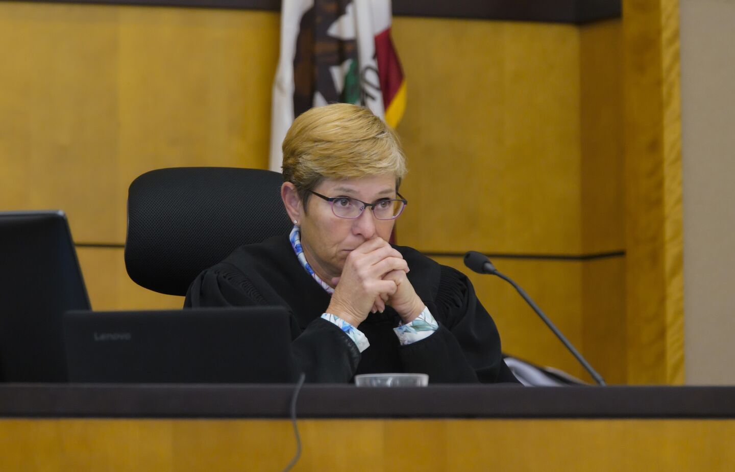 Judge Katherine Bacal listens to the cross examine from defense attorney, Dan Webb to Suzanna Ryan.