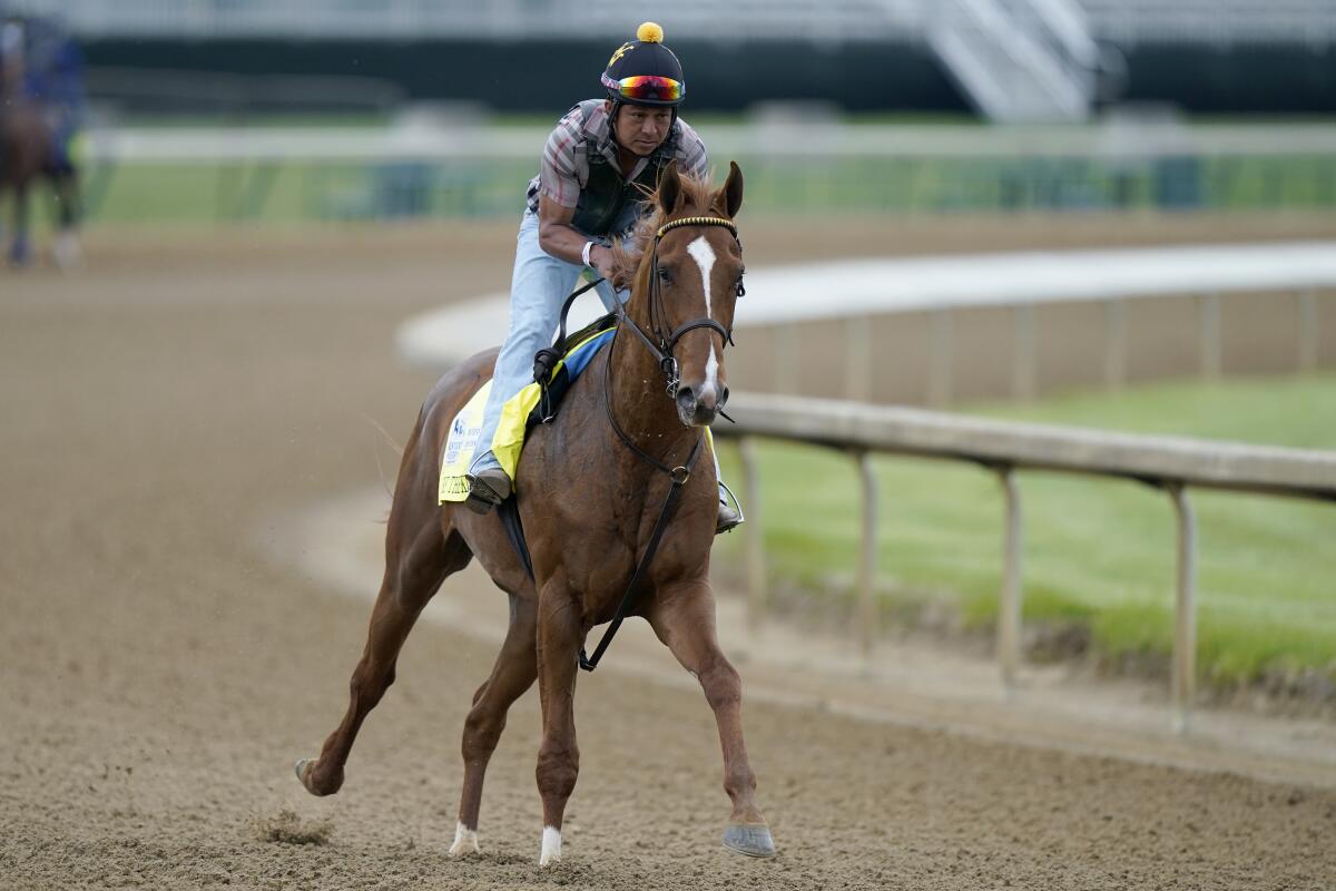 Like The King works out at Churchill Downs on Wednesday.