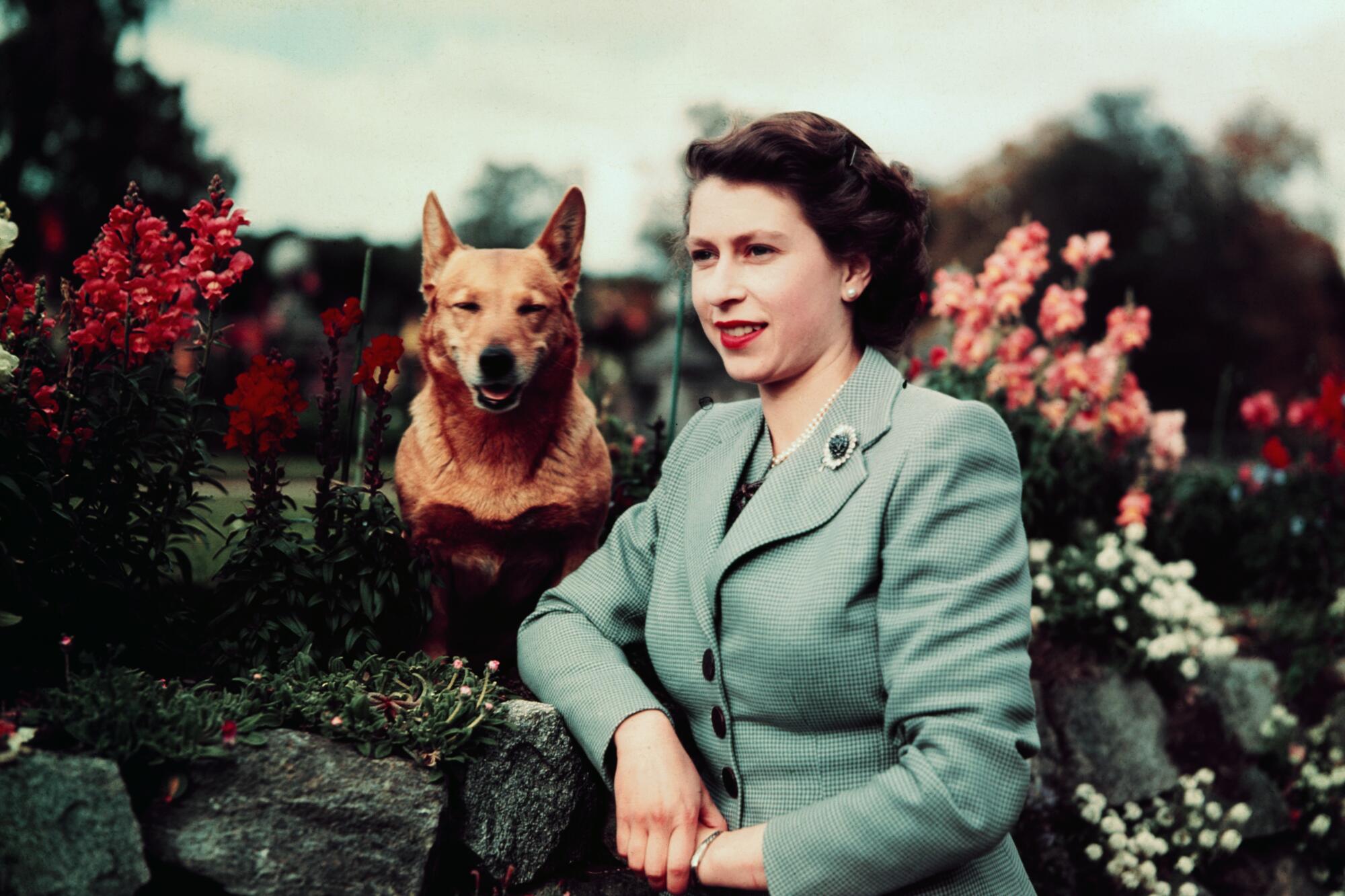 Queen Elizabeth II rests her arm on a stone wall among flowers near one of her Corgis in 1952