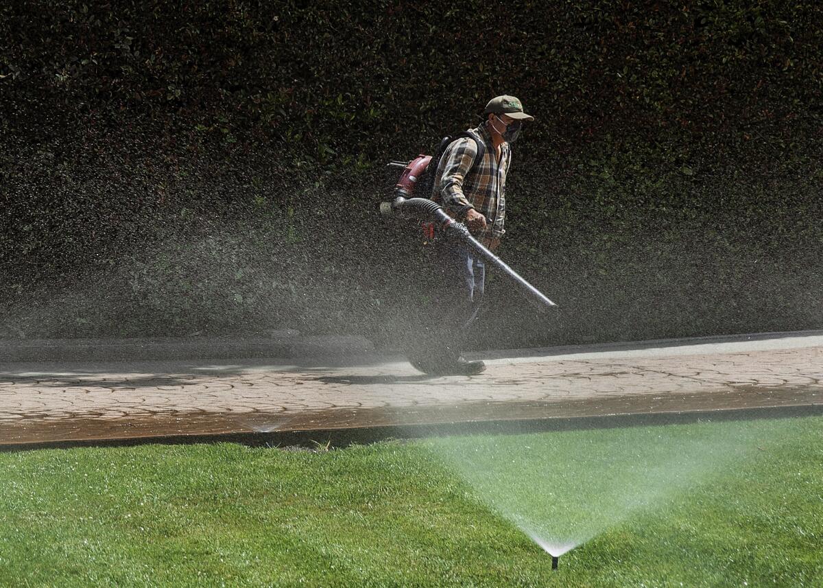 A gardener uses a leaf blower as sprinklers water grass below. 