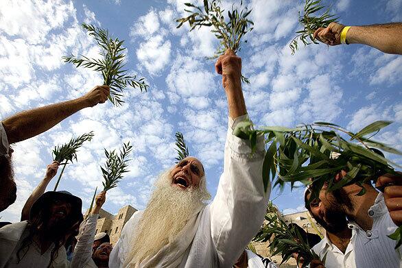 Rabbi Menahem Furman and his followers hold willows as they pray for rain and mercy during the last day of the Jewish festival of Sukkot at the Western Wall in the old city of Jerusalem.