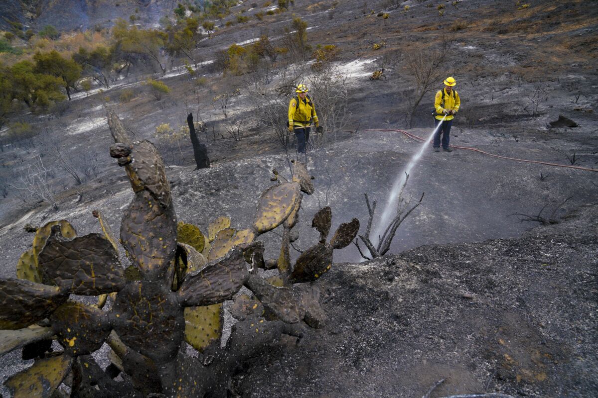 Firefighters help douse a blaze in San Diego County.