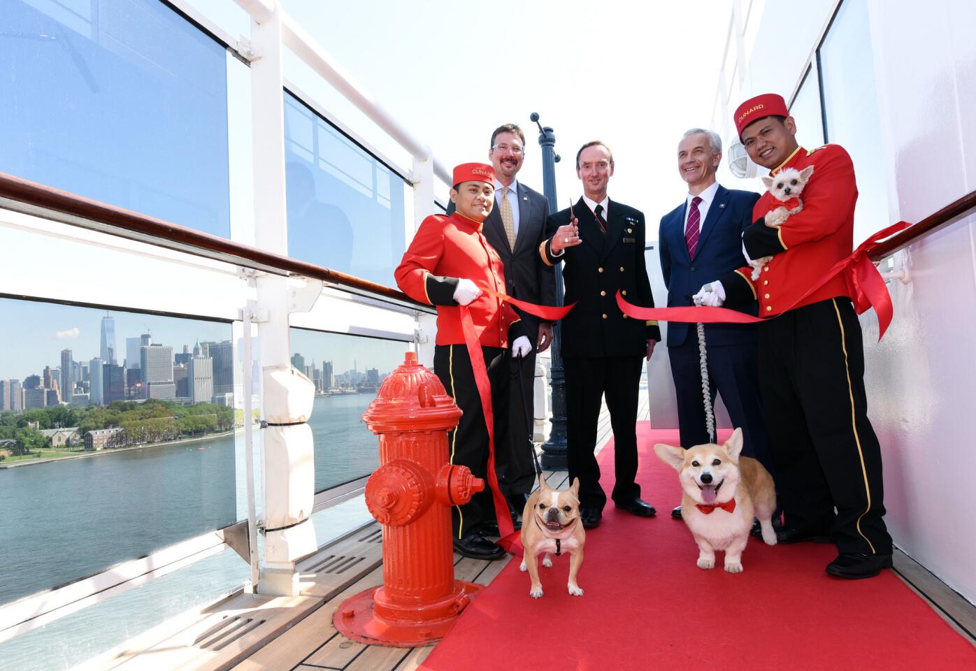 Dogs welcome on Queen Mary 2