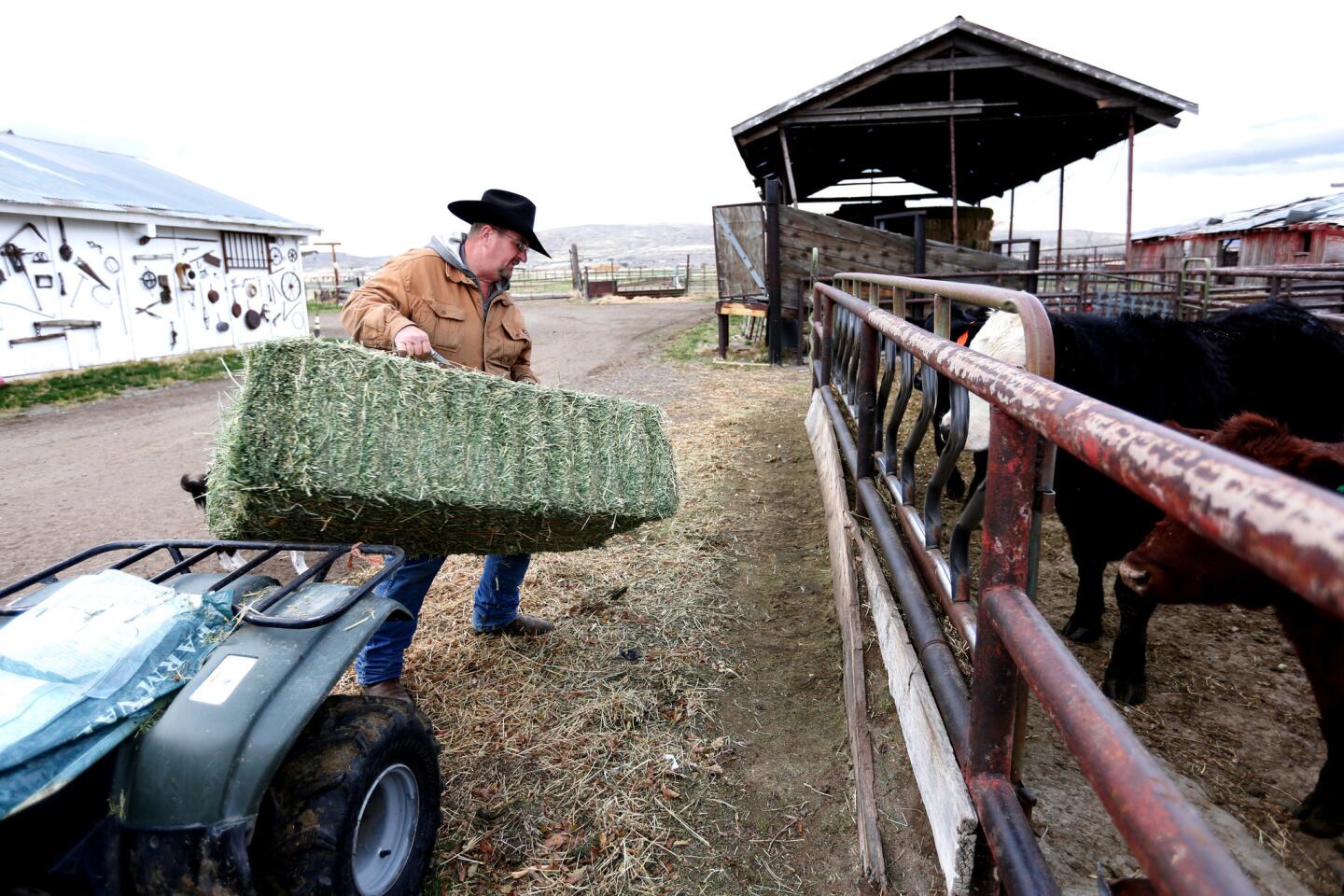 Lassen County Supervisor Jeff Hemphill, a third-generation cattle rancher, works on his JD Hemphill Ranch in Janesville, Calif. In Lassen County, 78% of voters cast ballots for Donald Trump.