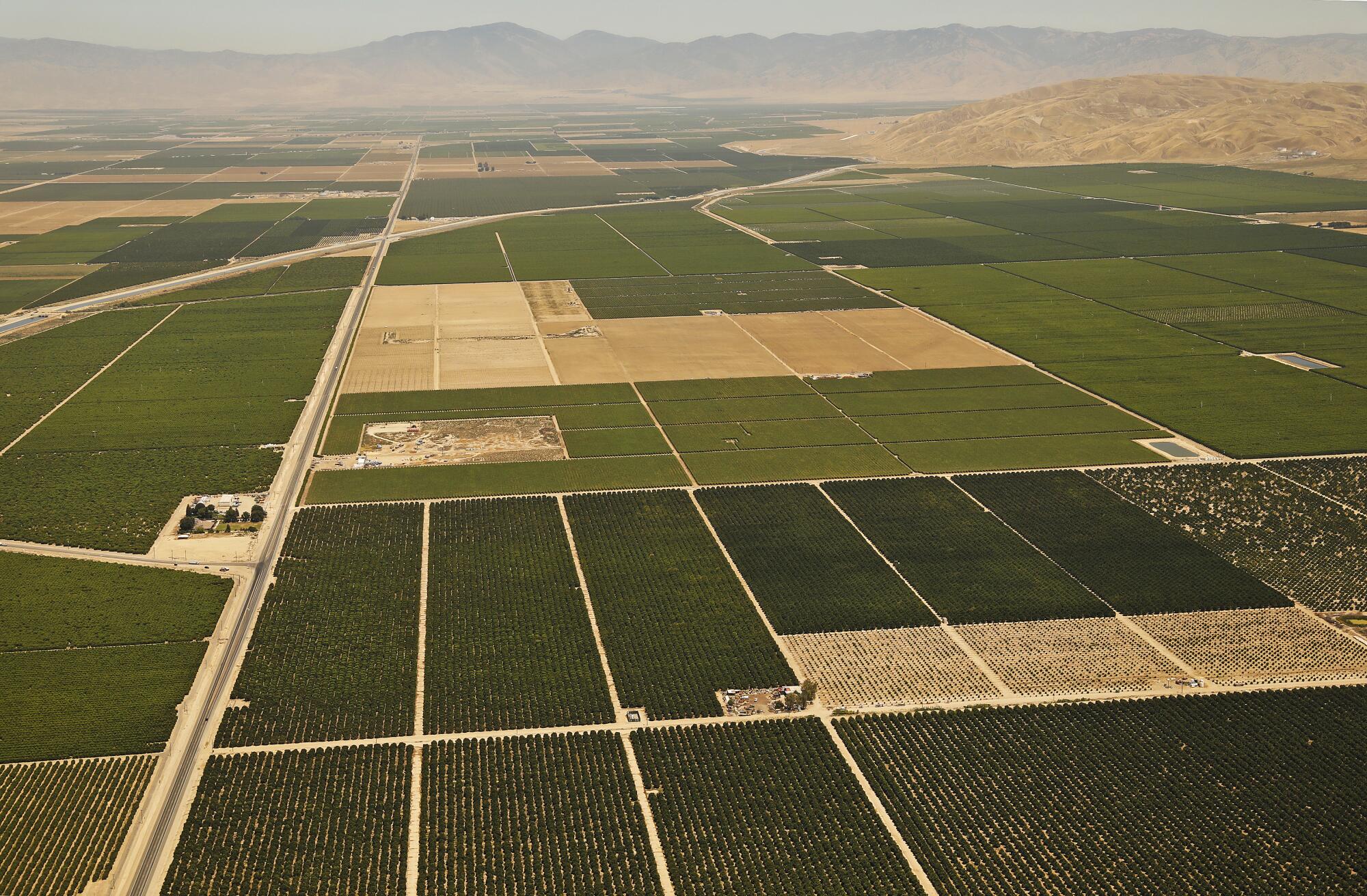 An aerial view of farmland and orchards.