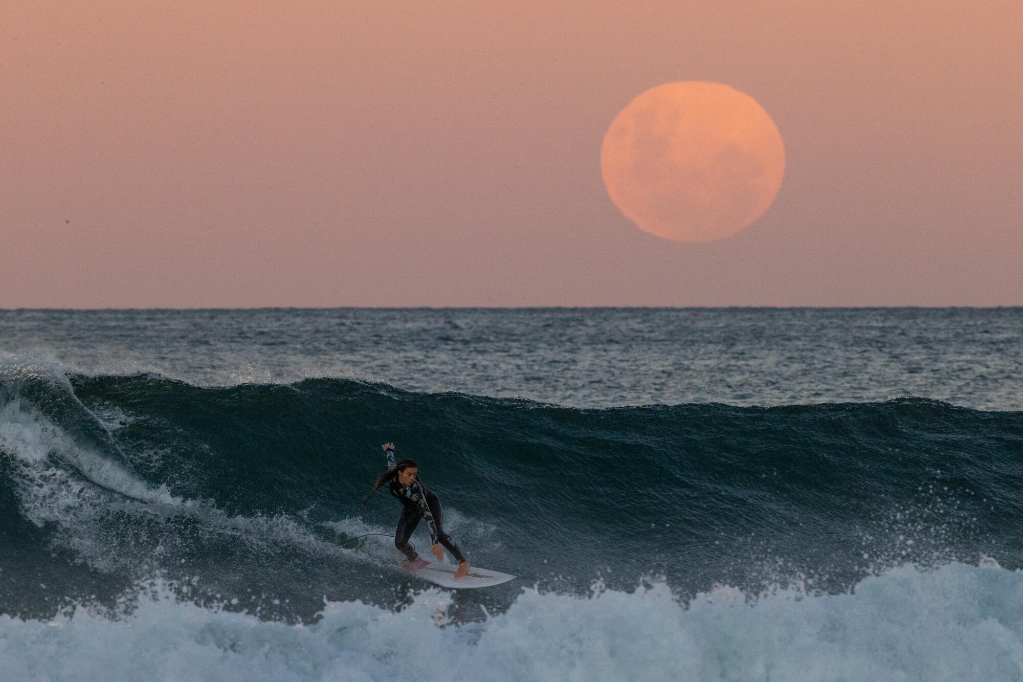 A surfer rides a wave as a super blood moon rises at Manly Beach 
