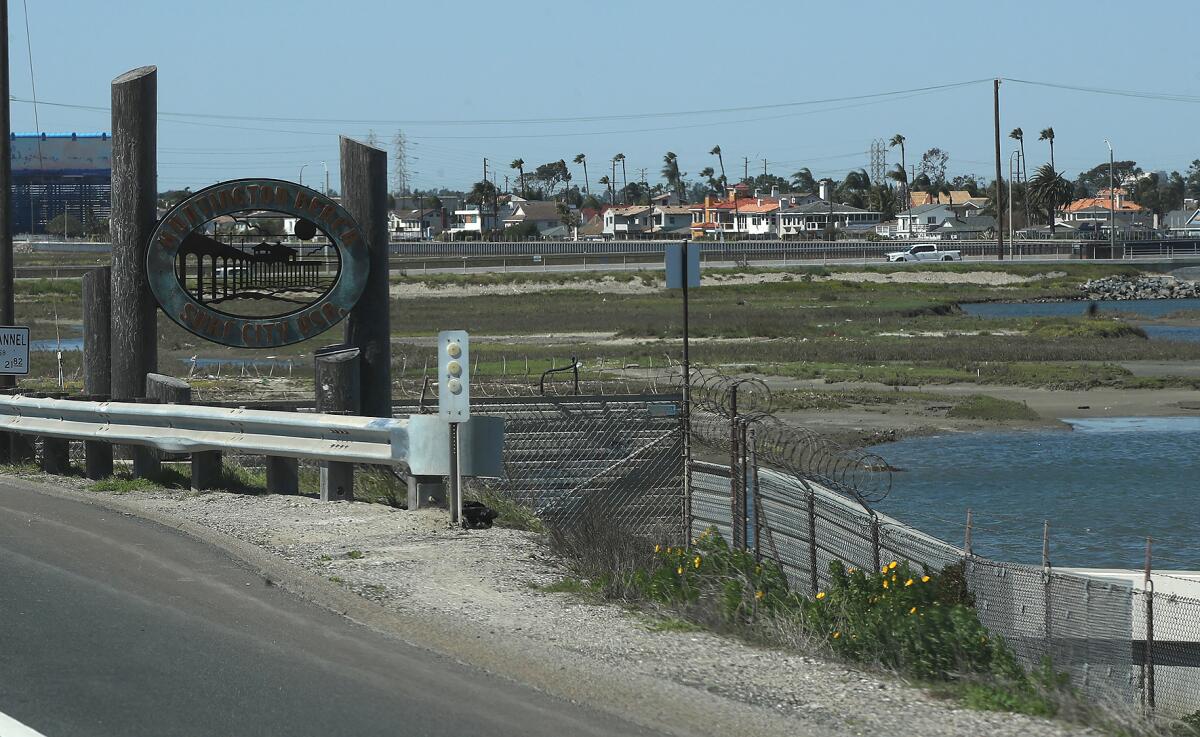 A view looking north, across the Talbert Marsh from Coast Hwy.