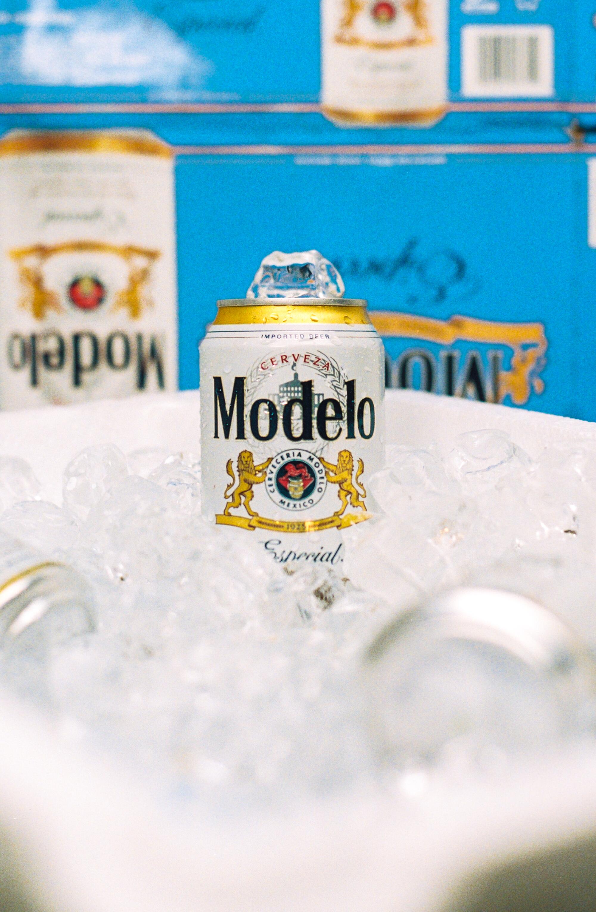 During the summer beer sells well, compared to hard alcohol in winter. And no beer is more popular than Modelo.