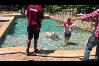 Poolside with Kaley Cuoco, Norman, Shirley, Rose and friends