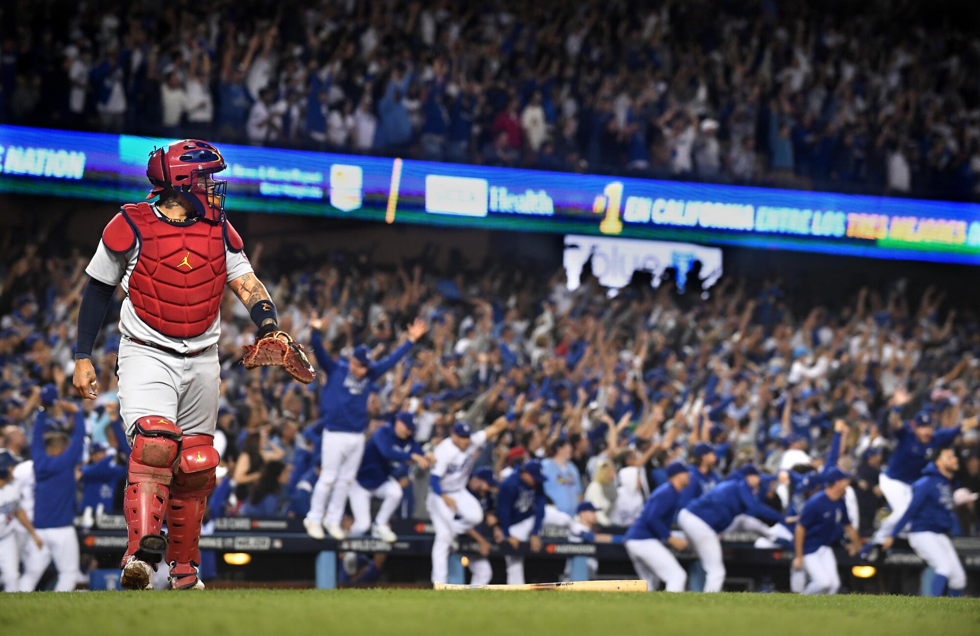 St. Louis Cardinals catcher Yadier Molina walks off the field as the Dodgers pour out of the dugout to celebrate.