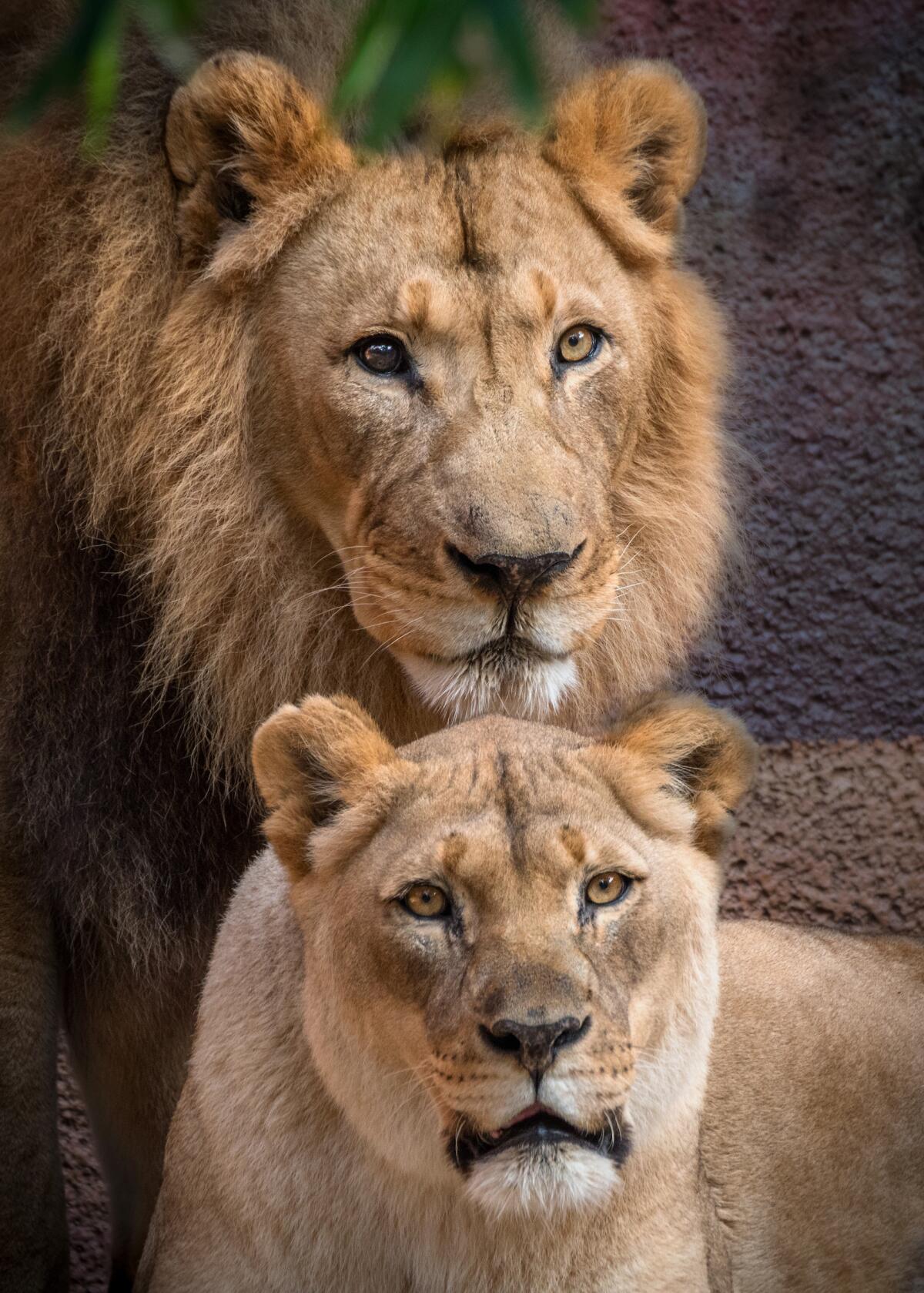 Hubert and Kalisa in 2017.