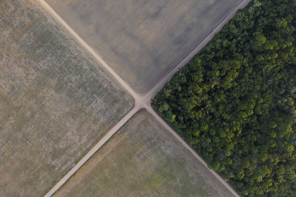 FILE - In this Nov. 30, 2019 file photo, a section of Amazon rainforest stands next to soy fields in Belterra, Para state, Brazil. Powerful businesses are urging Brazil's President Jair Bolsonaro to give up its long-standing resistance on key issues at this year's U.N. climate talks, arguing the country can't afford to pass up the chance to use its vast natural wealth in the fight against global warming. Last week, Brazil surprised observers by joining an international pledge to halt and reverse deforestation by 2030. (AP Photo/Leo Correa, file)