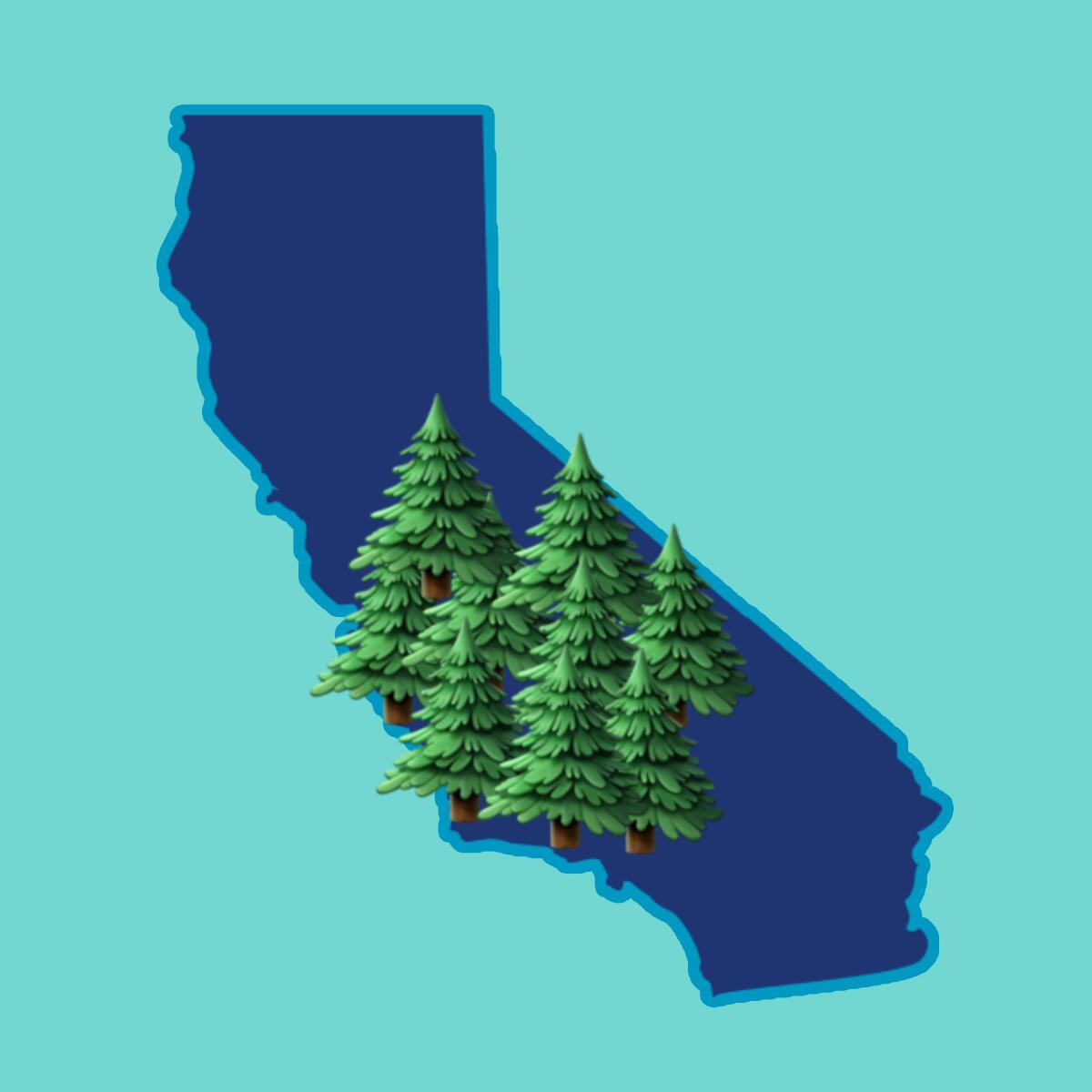 Graphic of trees on top of a cutout of California