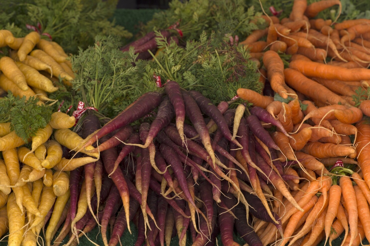 Farmers Market Report Carrots In A Rainbow Of Colors Are In Season And A Recipe Los Angeles Times