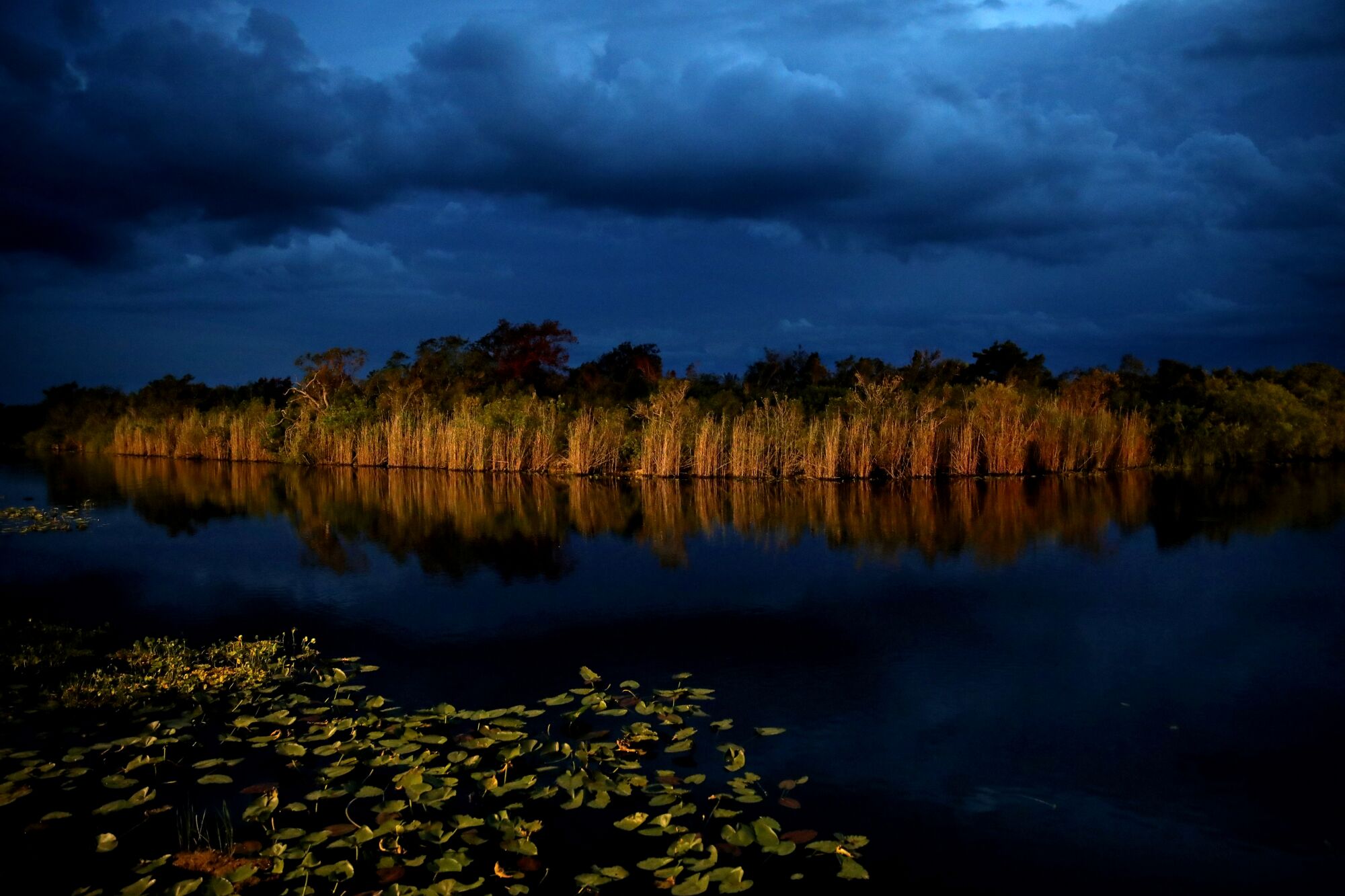 The slow-moving river of the Everglades is dependent on the seasonal rise and fall of fresh water.