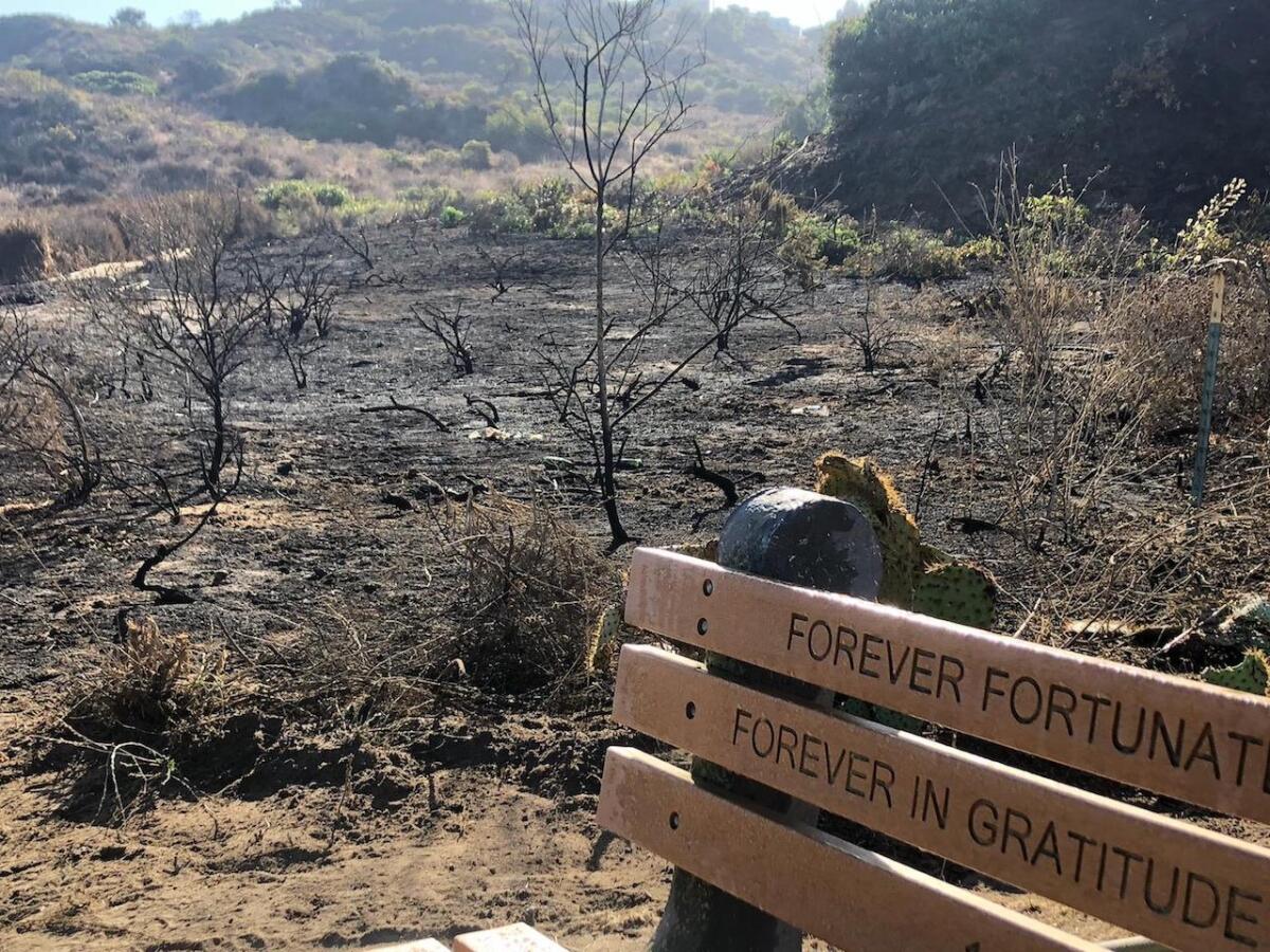 The half-acre burn site is along the upper Rios Trail where Holmwood Canyon trail ascends.
