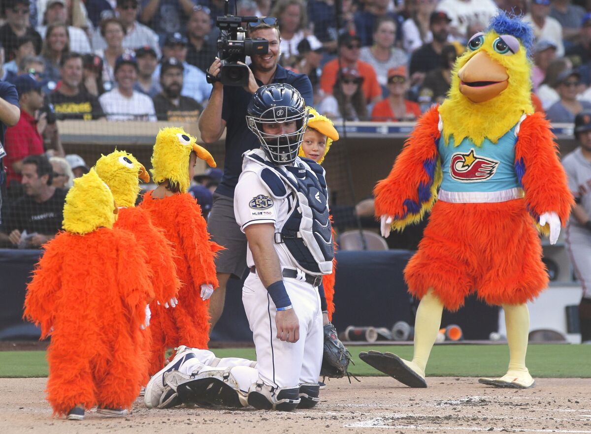 The San Diego Chicken, played by Ted Giannoulas, leads a group of children dressed as baby chicks past Padres catcher Austin Hedges during Saturday's game against the Giants at Petco Park.
