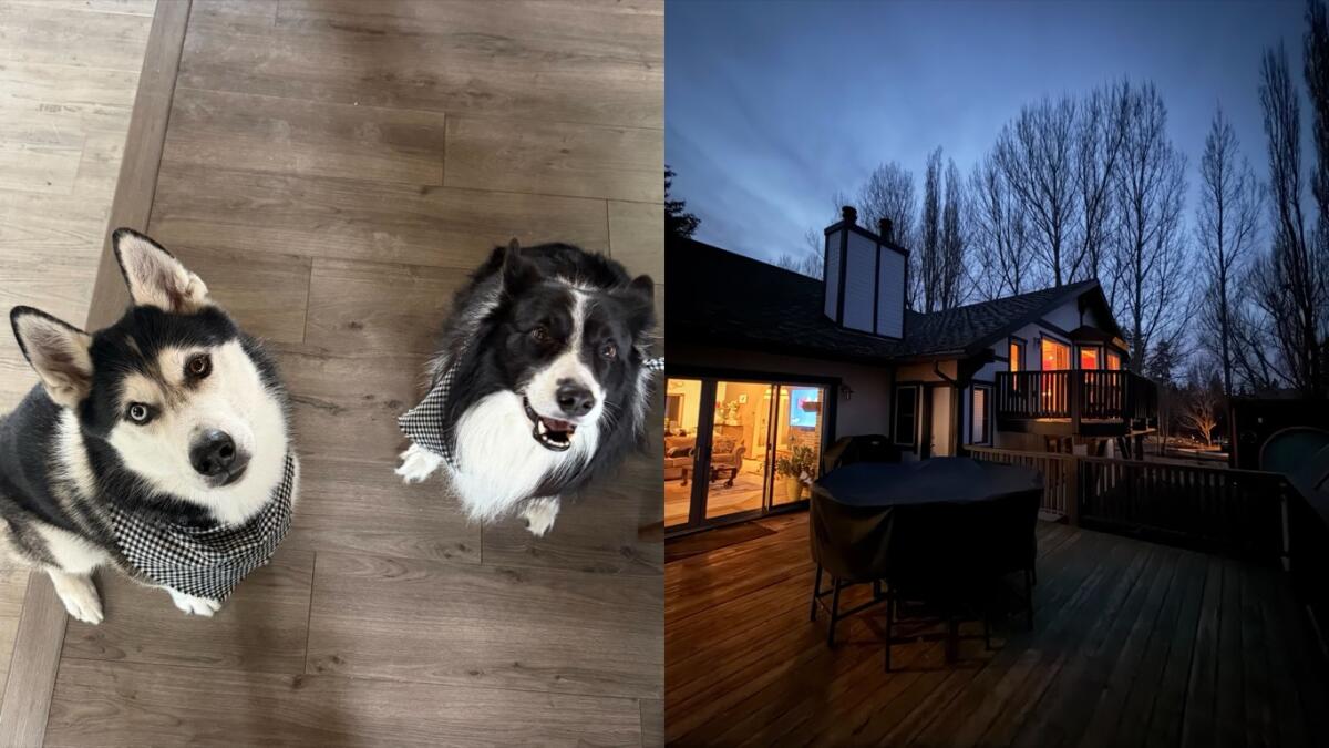 Happy & Sun. Big Bear Cabin. 