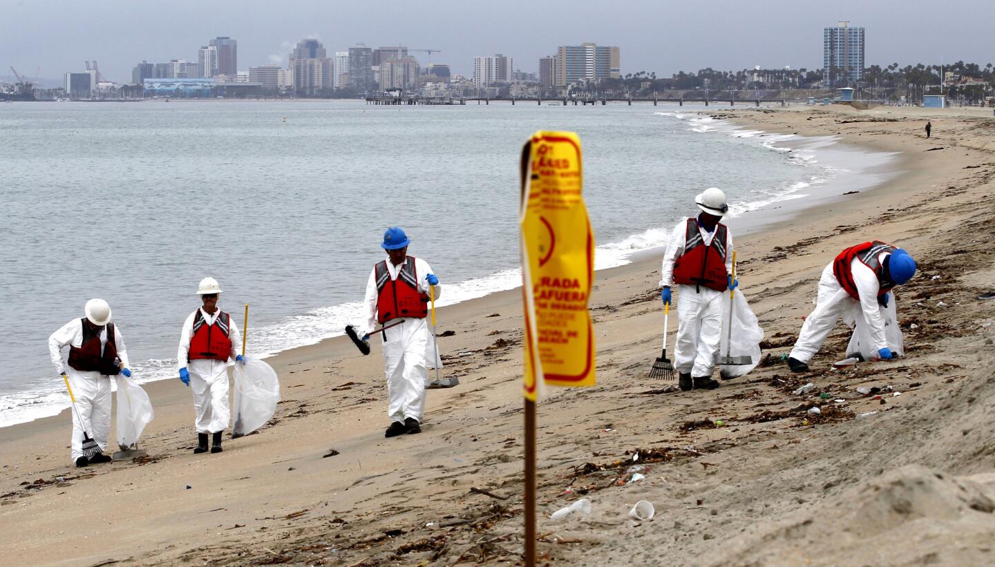 Clean-up crew members from Ocean Blue Environmental Services walk part of the four miles of coastline that remained closed Thursday morning in Long Beach after tar balls washed ashore.