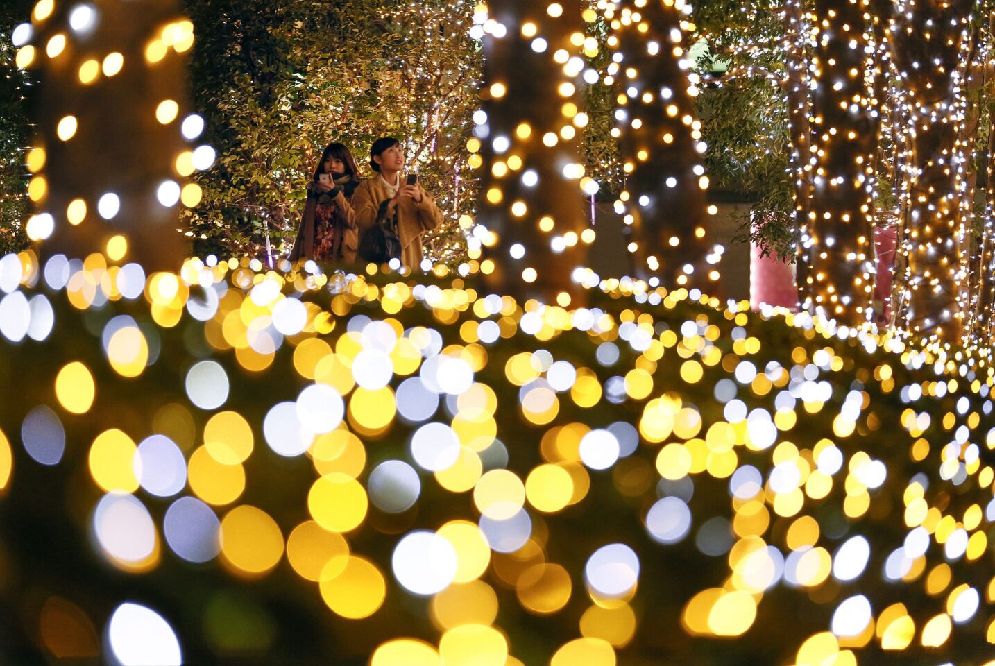 Festive Christmas lights set the Shinjuku business district aglow.