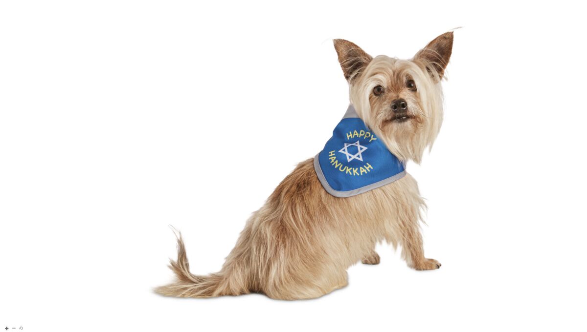 A small dog wearing a bandana with a Star of David and the words Happy Hanukkah