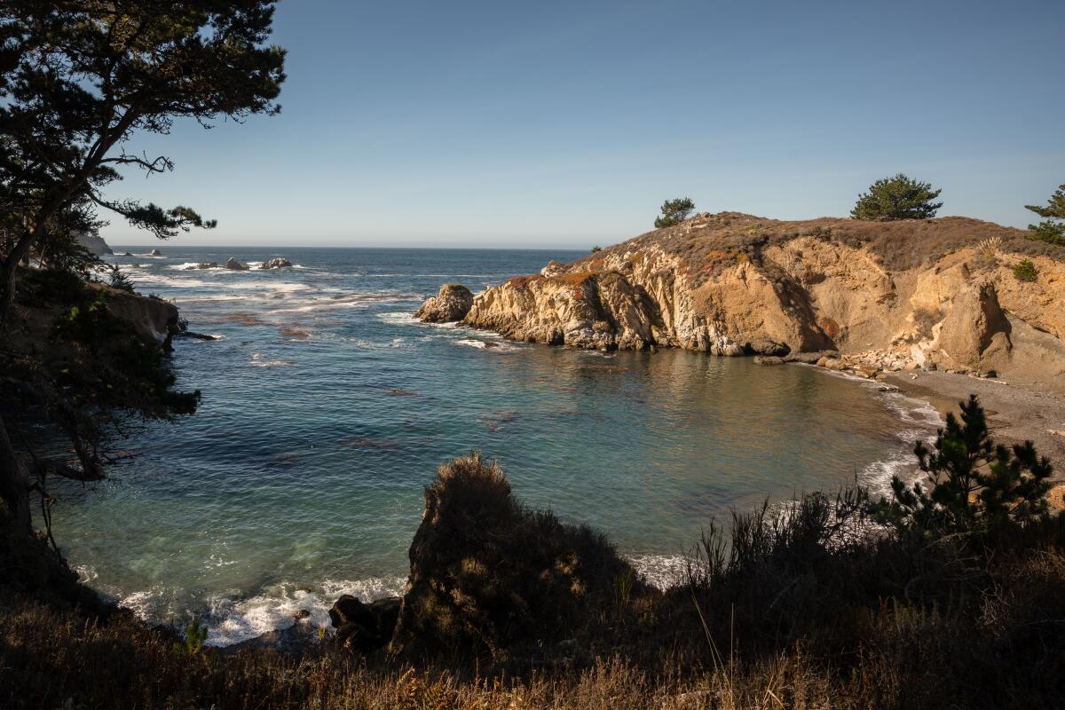 View of a rocky cove framed by trees and plants.