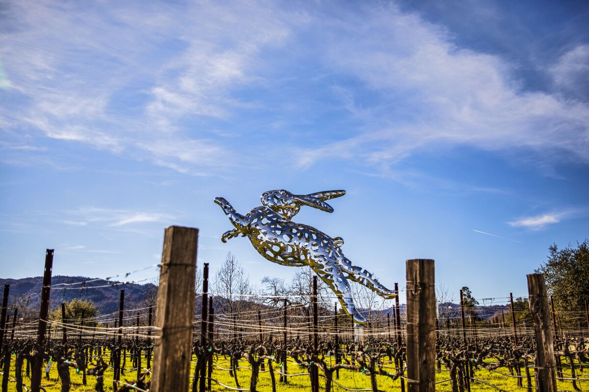 A sculpture of a leaping rabbit is positioned above fencing and graoevines in a field.