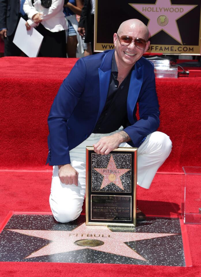 Pitbull receives star on Hollywood Walk of Fame