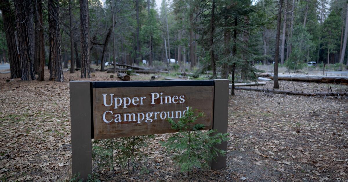 Pourquoi les gens s’inquiètent d’une réglementation majeure au Service forestier