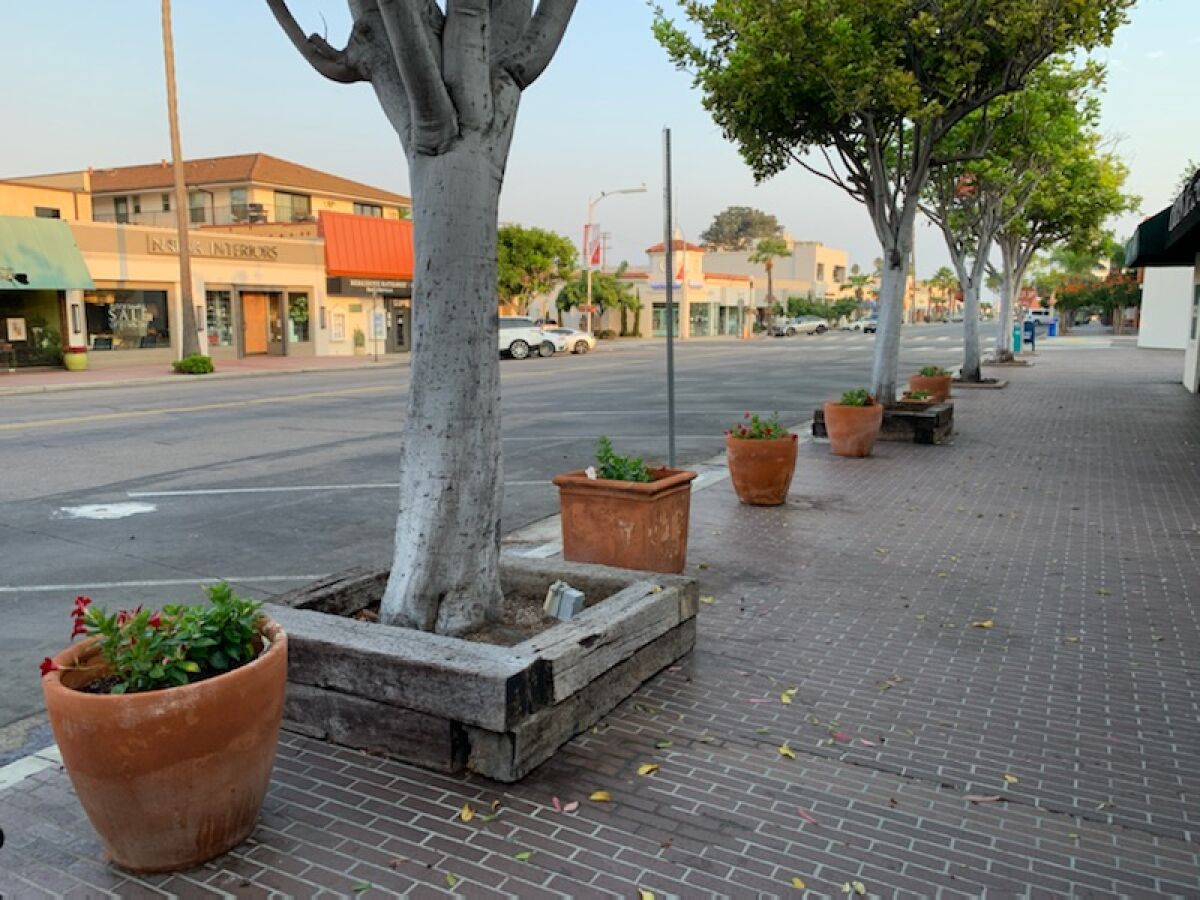 Flower pots on Girard Avenue got some sprucing up from Enhance La Jolla.
