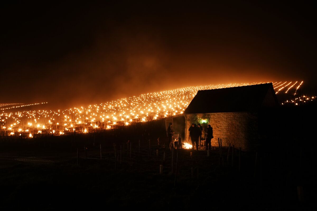 Winegrowers warm themselves around a fire as anti-frost candles burn in a vineyard to protect blooming buds and flowers from the frost, in Chablis, Burgundy region, Monday, April 4, 2022. Plunging April temperatures around France are threatening vineyards and other important crops. Vintners are scrambling to find ways to protect the vines from the frost, which comes after an unusually mild winter and is hitting countries around Europe. (AP Photo/Thibault Camus)