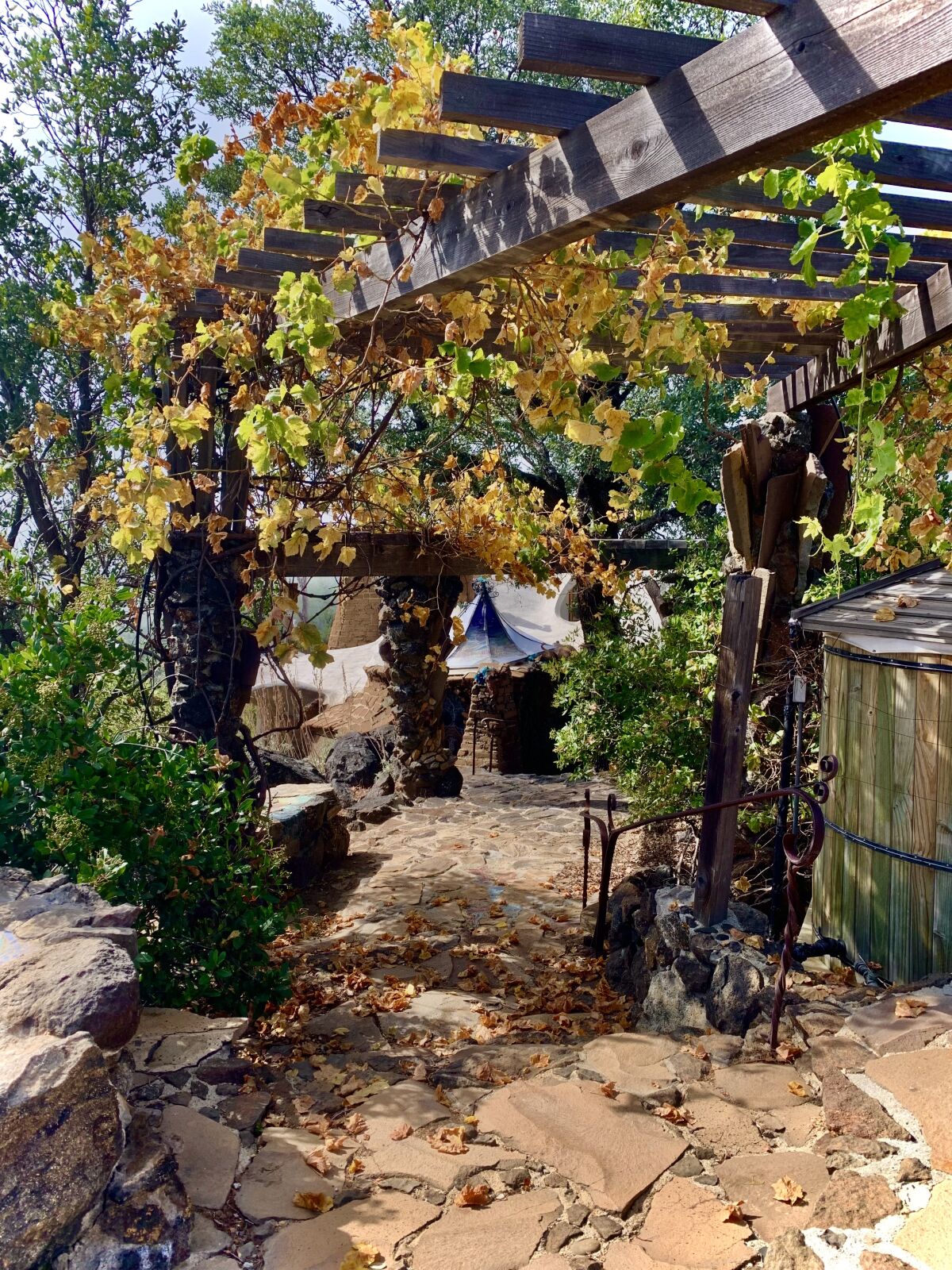 A grapevine trellis at James Hubbell's Ilan-Lael property in Santa Ysabel.