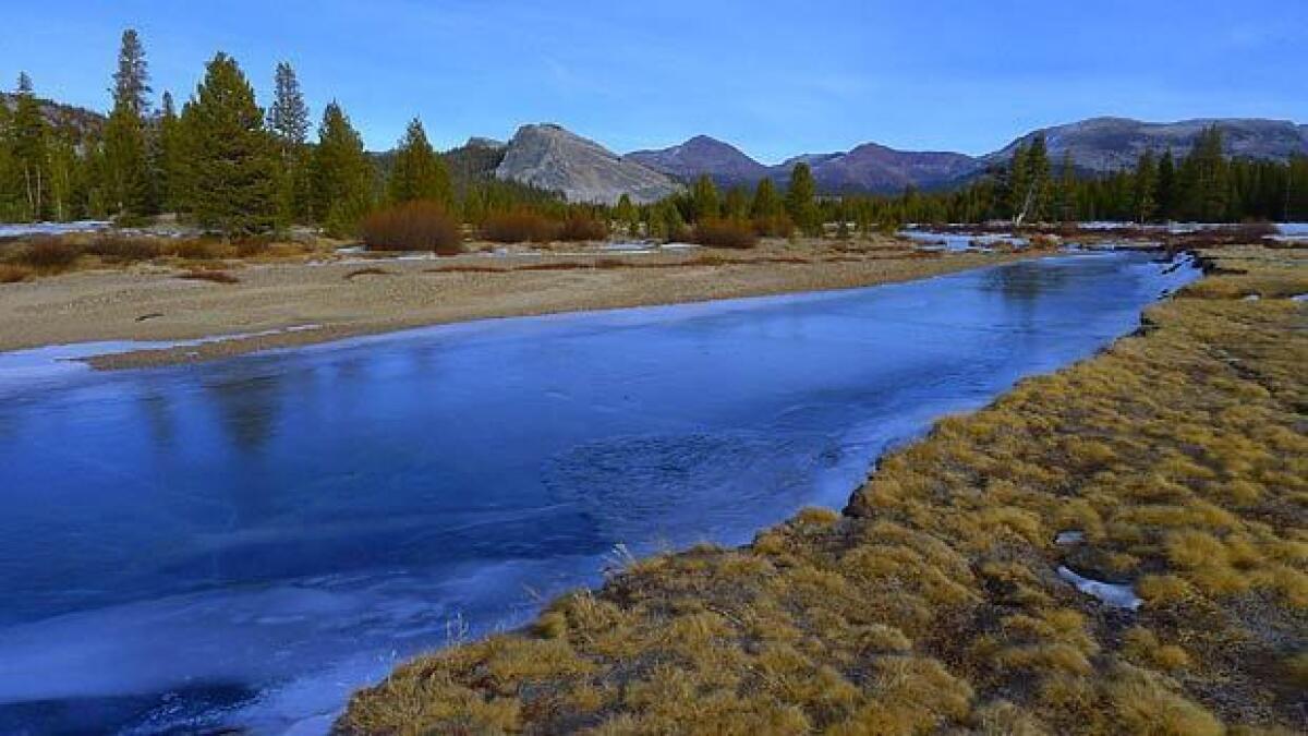The Tuolumne River winds through Tuolumne Meadows in Yosemite National Park in January, revealing a landscape usually covered in snow at this time of year.