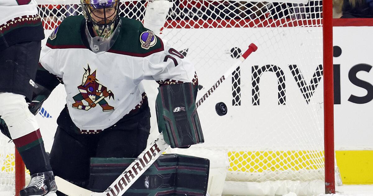 Coyotes sign goalie Vejmelka to 3-year extension - The San Diego