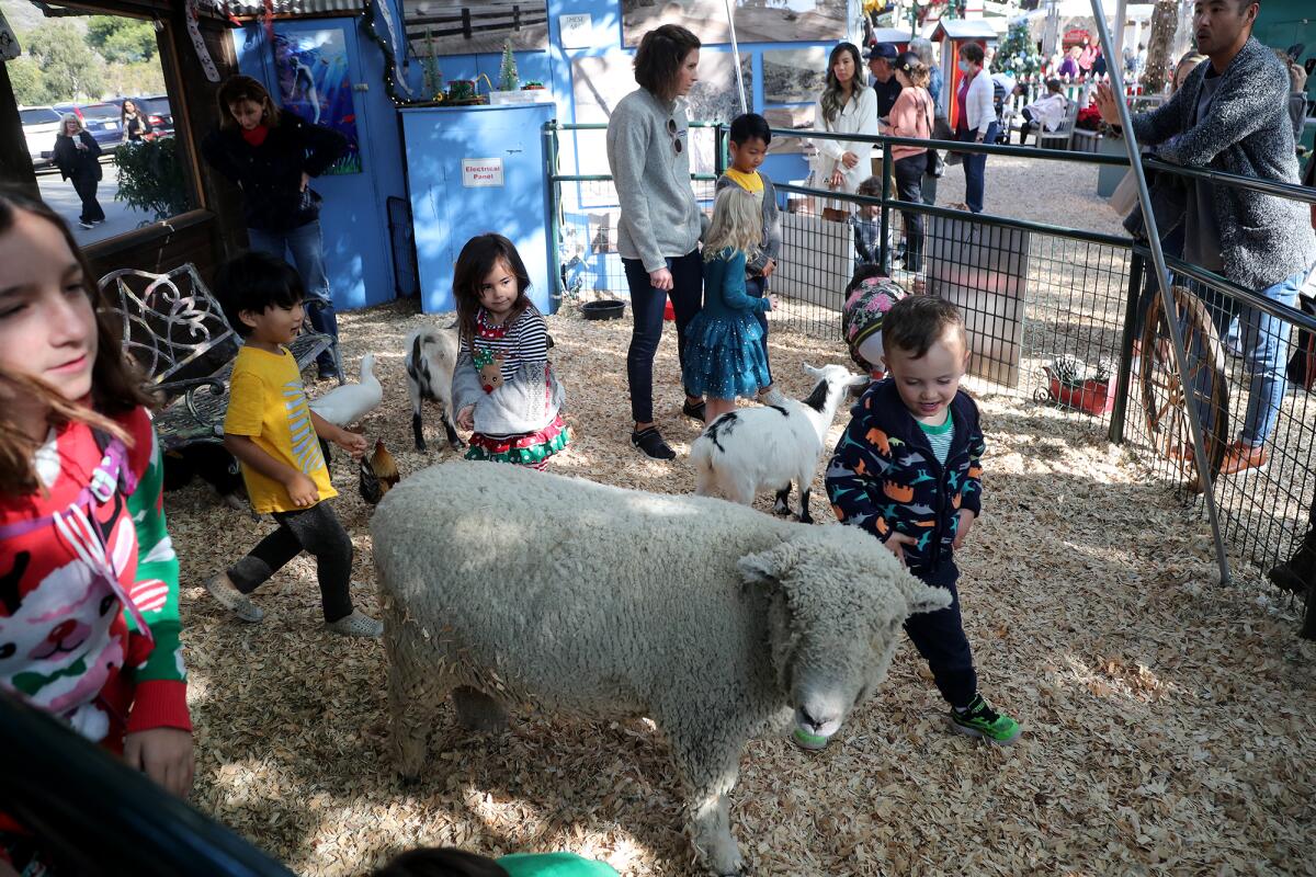 Children play with animals from the Itty Bitty Petting Zoo.