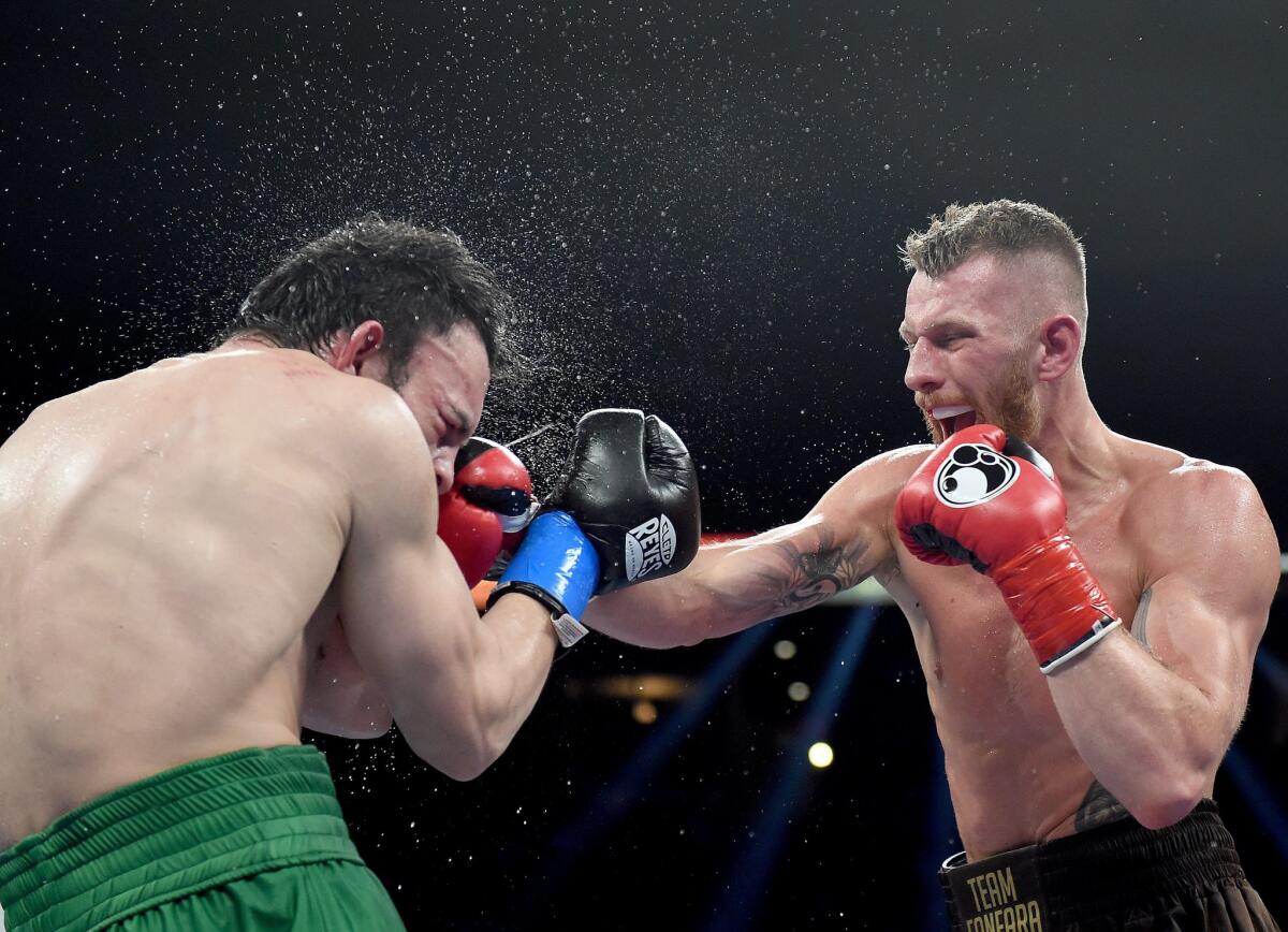 Andrzej Fonfara punches Julio Cesar Chavez Jr. to a ninth round TKO to win Saturday at StubHub Center.