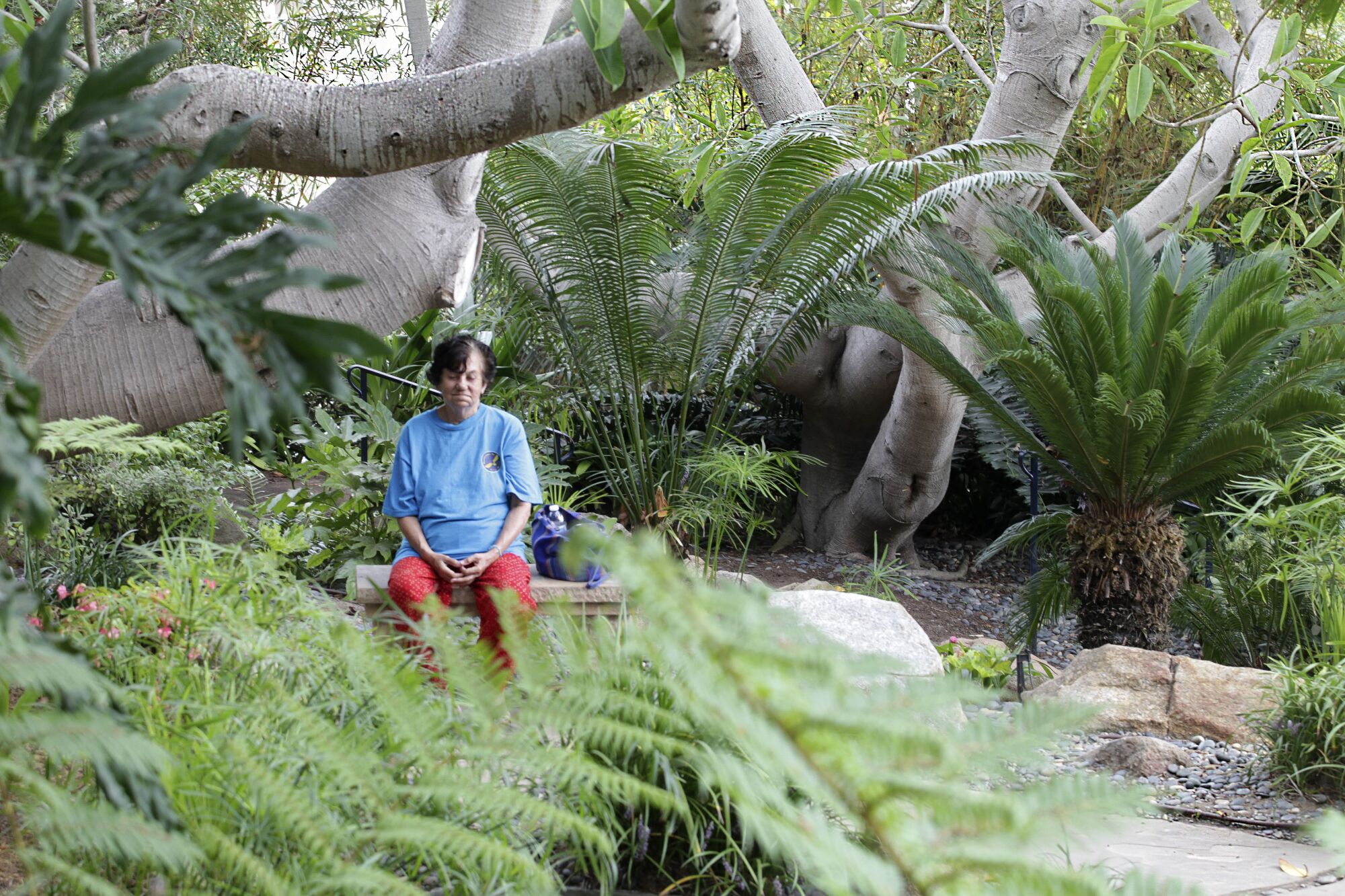 Amanda Casanova bermeditasi di Taman Meditasi Persekutuan Realisasi Diri Encinitas.