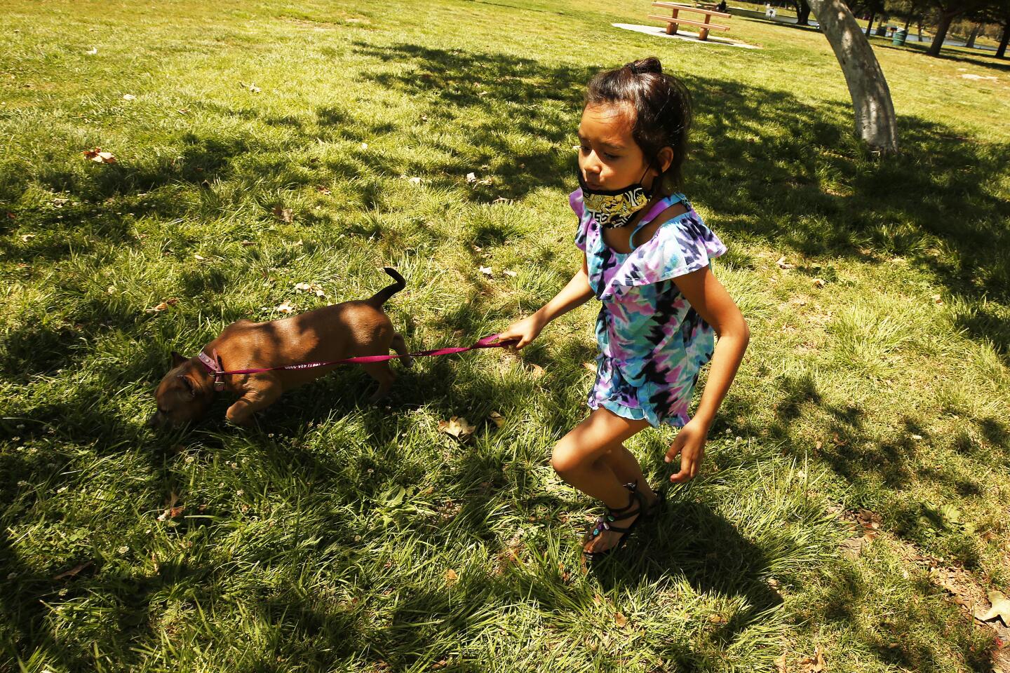 A little girl and a puppy at a park