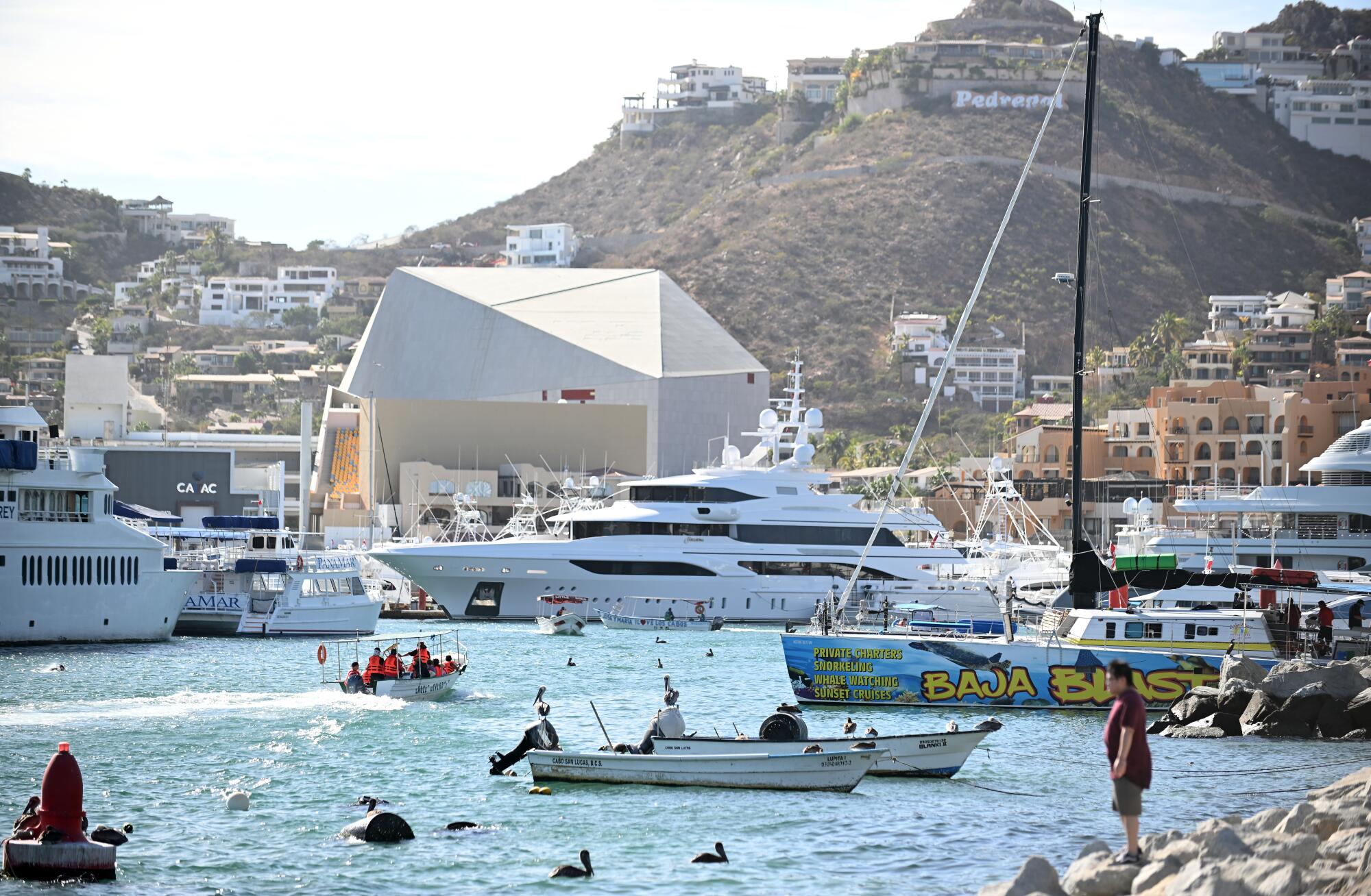 A harbor with yachts and buildings on hills in the background.