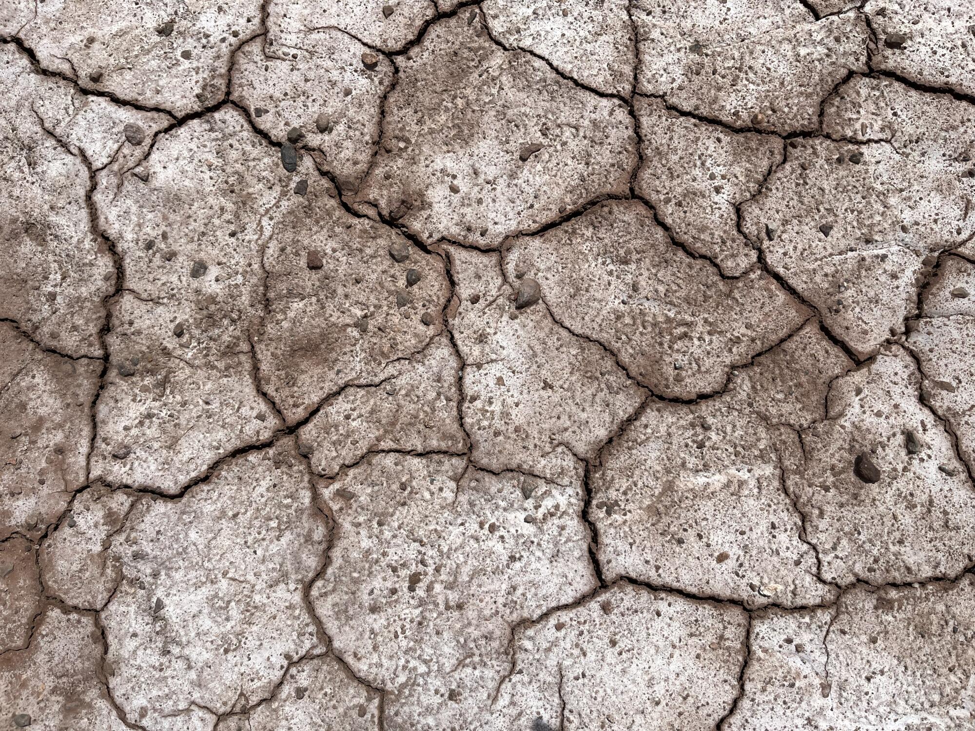 A photo of dry, cracked earth.